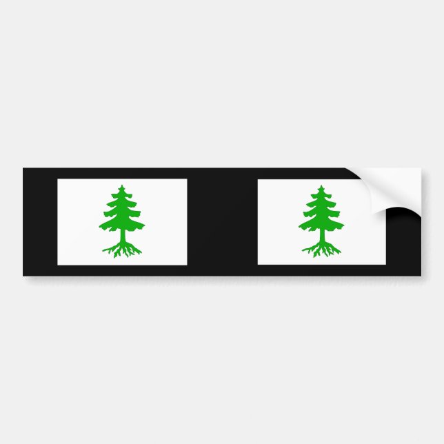 Krtiny, Czech Bumper Sticker (Front)