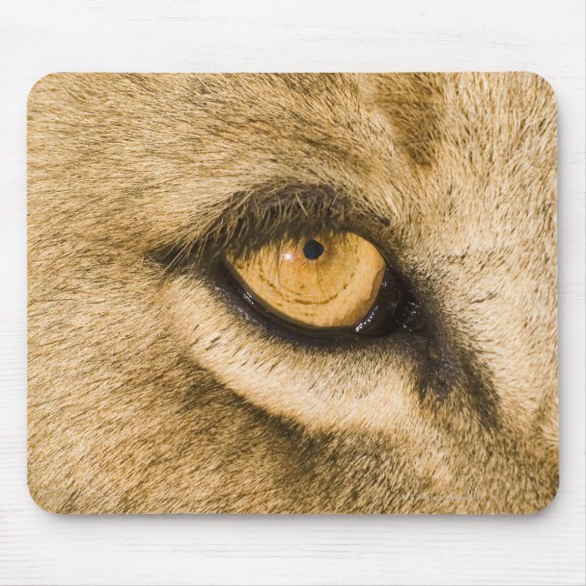 Kruger National Park, Limpopo Province Mouse Pad (Front)