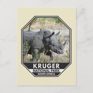 Kruger National Park South Africa Rhino Watercolor Postcard