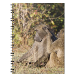Kruger National Park, South Africa Spiral Notebook