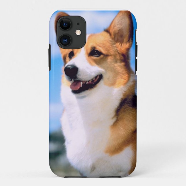 KRW Corgi Dog iPhone 5 Case (Back)