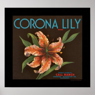 KRW Vintage Corona Lily Orange Crate Label Poster