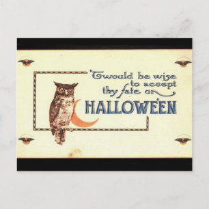 KRW Vintage Halloween Owl Postcard