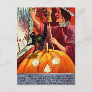 KRW Vintage How to Get Rid of Witch Postcard