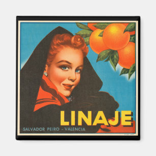 KRW Vintage Linaje Orange Fruit Crate Label Magnet