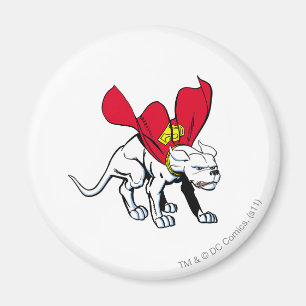 Krypto Growls Magnet