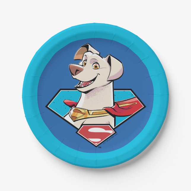 Krypto S-Shield Graphic Paper Plate (Front)