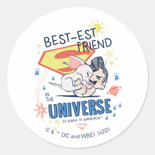 Krypto & Superman: Best-est Friend in the Universe Classic Round Sticker