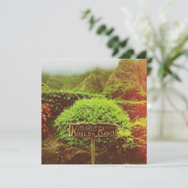 Kualoa Ranch (Standing Front)