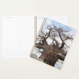 Kubu Island Baobab Tree Botswana Scenery Planner