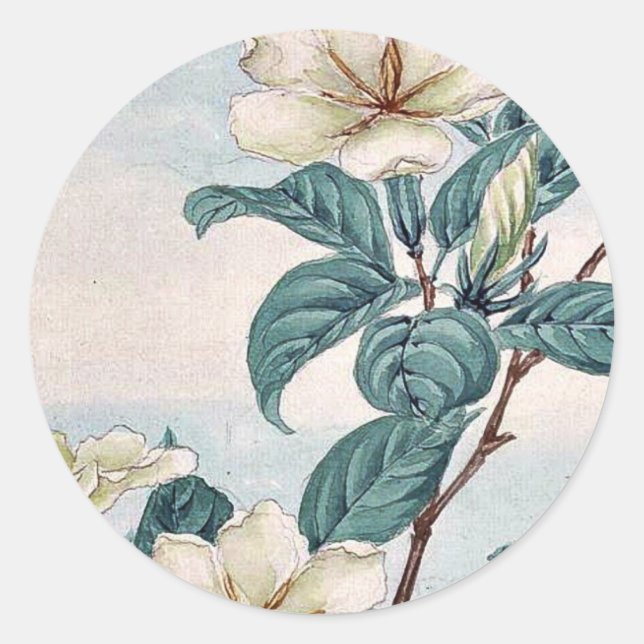 Kuchi nashi - cape jasmine / by Megata Morikaga Uk Classic Round Sticker (Front)