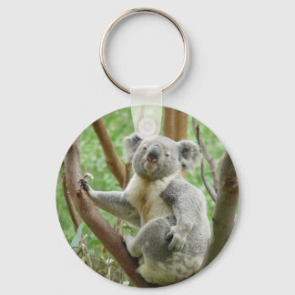 Kuddly Koala Key Ring