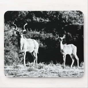 Kudu bull and cow in black & white - Mousepad