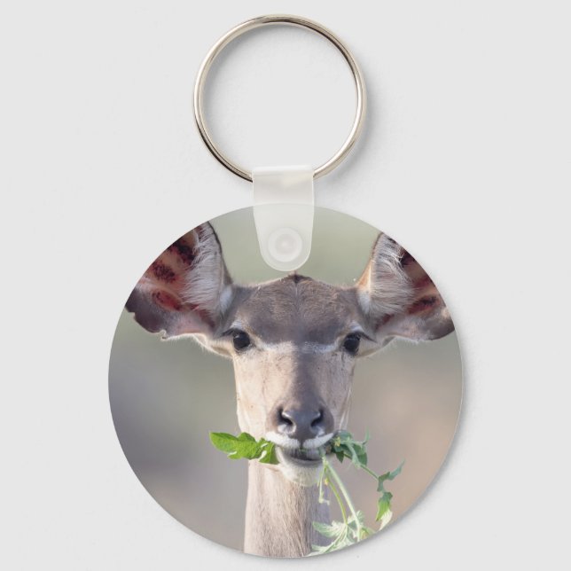 Kudu portrait key ring (Front)