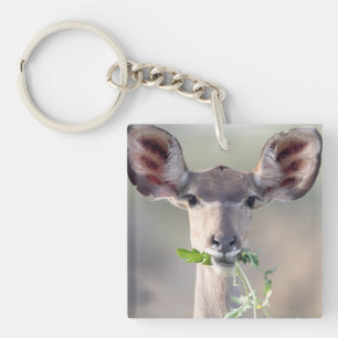 Kudu portrait key ring