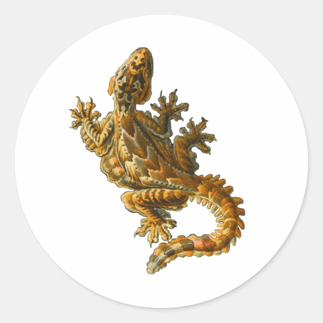 Kuhl's Flying Gecko Classic Round Sticker (Front)