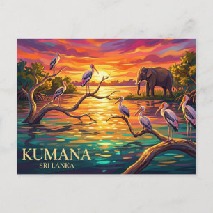 Kumana National Park Sri Lanka Postcard