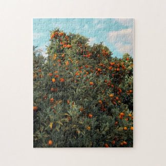 Kumquat Tree Jigsaw Puzzle