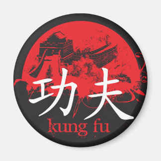 Kung Fu Magnet