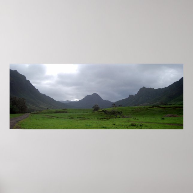 Kuoloa Valley Poster (Front)