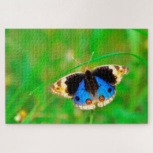 Kupu Kupu Butterfly Jigsaw Puzzle