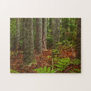Kuri trees New Zealand Jigsaw Puzzle
