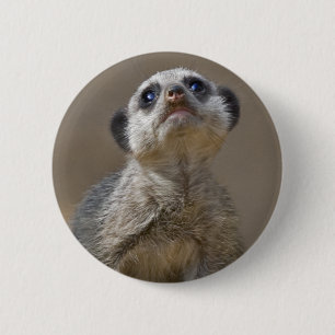 Kute Kat Badge