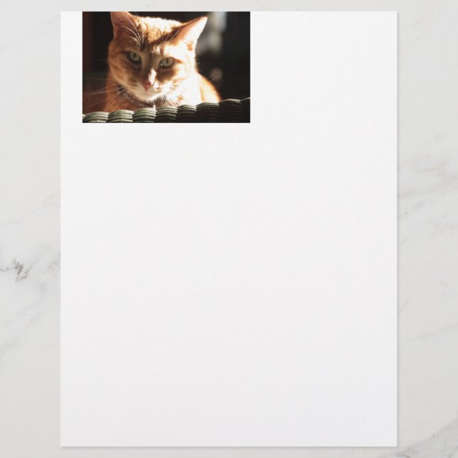 Kute Kitty! (Front)
