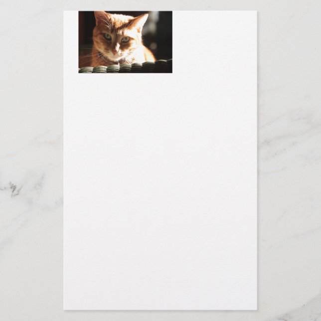 Kute Kitty! Stationery (Front)