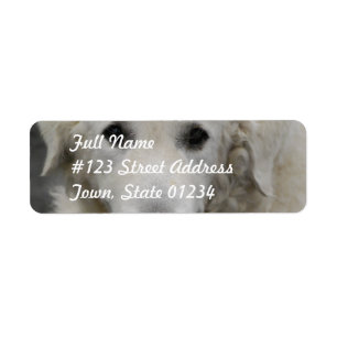 Kuvasz Dog Breed  Mailing Labels