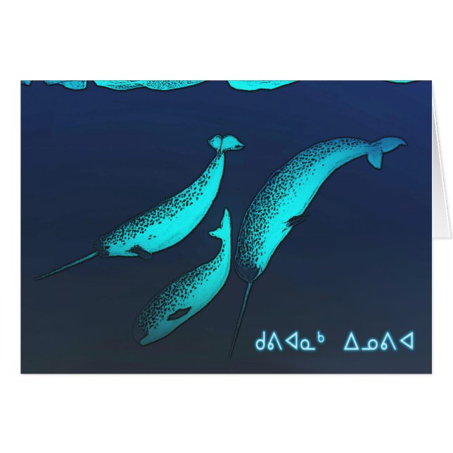 Kuvianak Innovia - Narwhal (Front Horizontal)