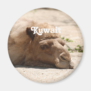 Kuwait Camel Magnet