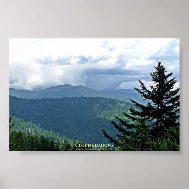 Kuwohi, Clingmans Dome, Great Smokies, USA Poster (Front)