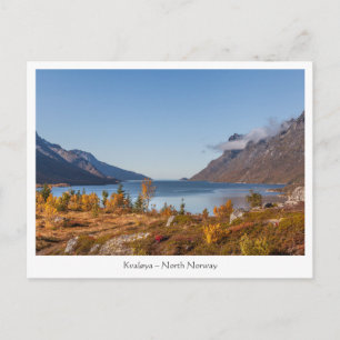 Kvaloya Island Norway Postcard