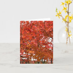 Kyoto Autumn Leaves Card