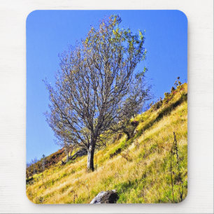 L0NE TREE MOUSE PAD