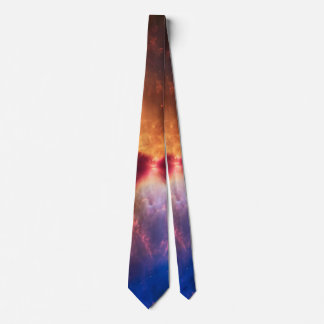 L1527 and Protostar - James Webb Telescope Tie