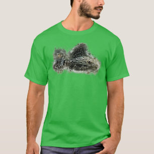 L191 Broken Line Royal Pleco Panaque sp T-Shirt