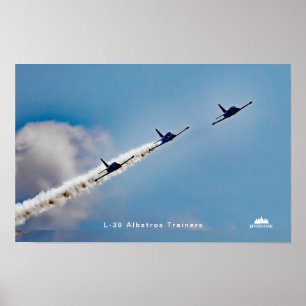 L-39 Albatros trainer jets over Higgins Lake, MI Poster
