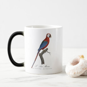 L' Ara Macao / Red and green Macaw  Magic Mug
