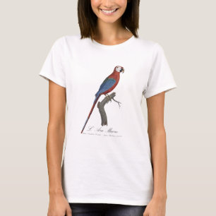 L' Ara Macao / Red and green Macaw T-Shirt