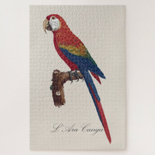 L' Ara Macao / Scarlet Macaw  Jigsaw Puzzle
