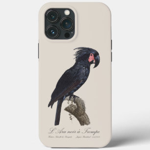 L' Ara Noir a Trompe / Palm Cockatoo  iPhone 13 Pro Max Case