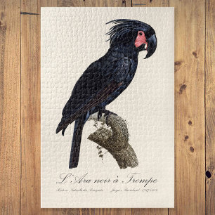 L' Ara Noir a Trompe / Palm Cockatoo  Jigsaw Puzzle