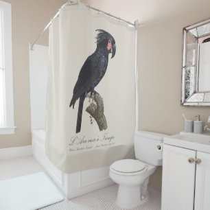 L' Ara Noir a Trompe / Palm Cockatoo  Shower Curtain