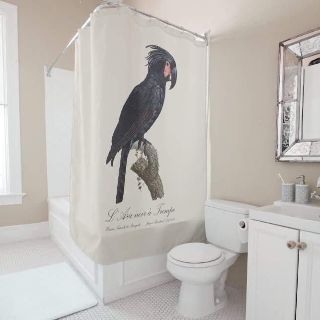 L' Ara Noir a Trompe / Palm Cockatoo  Shower Curtain (In Situ)