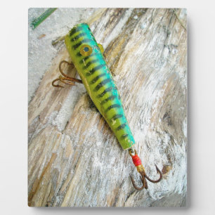 L Cooper Goo Goo Eyes Antique Fishing Lure Plaque