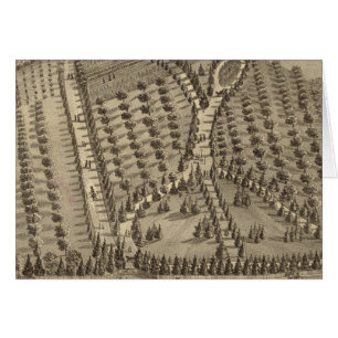 La Belle, country place of Thos Hornbrook
