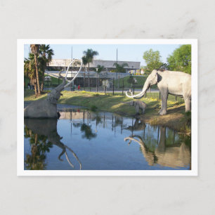 LA BREA TAR PITS #1 Postcard