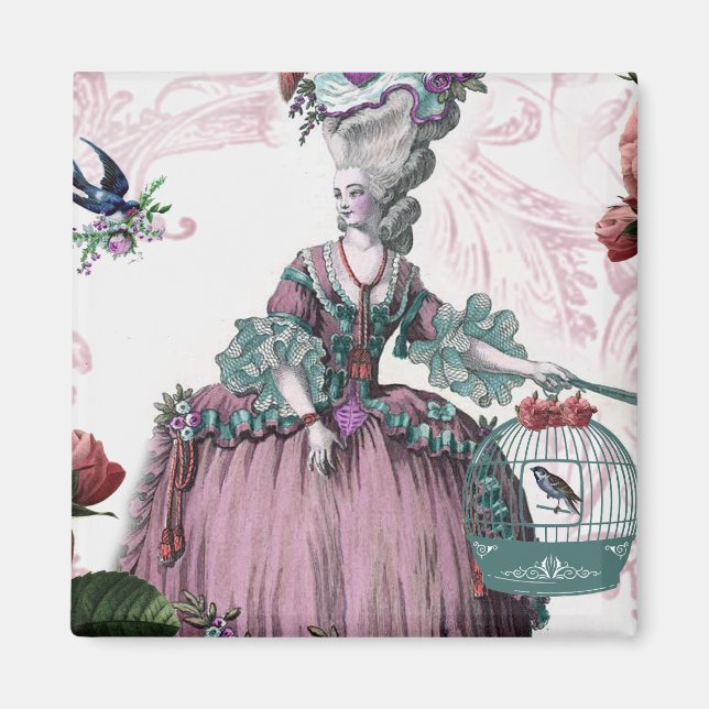 la cage aux oiseaux  (The Bird cage) Magnet (Front)